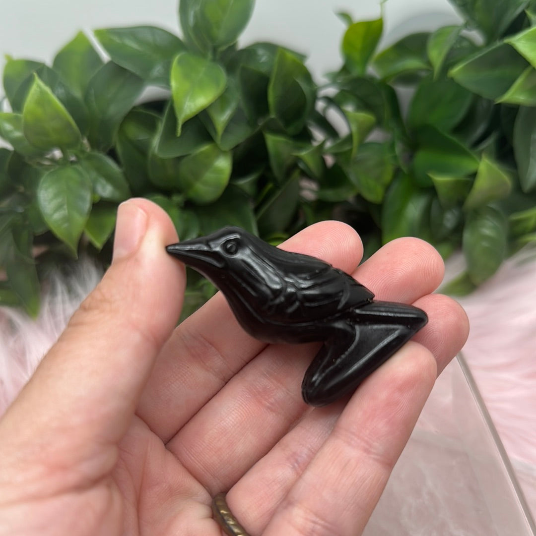 black obsidan raven