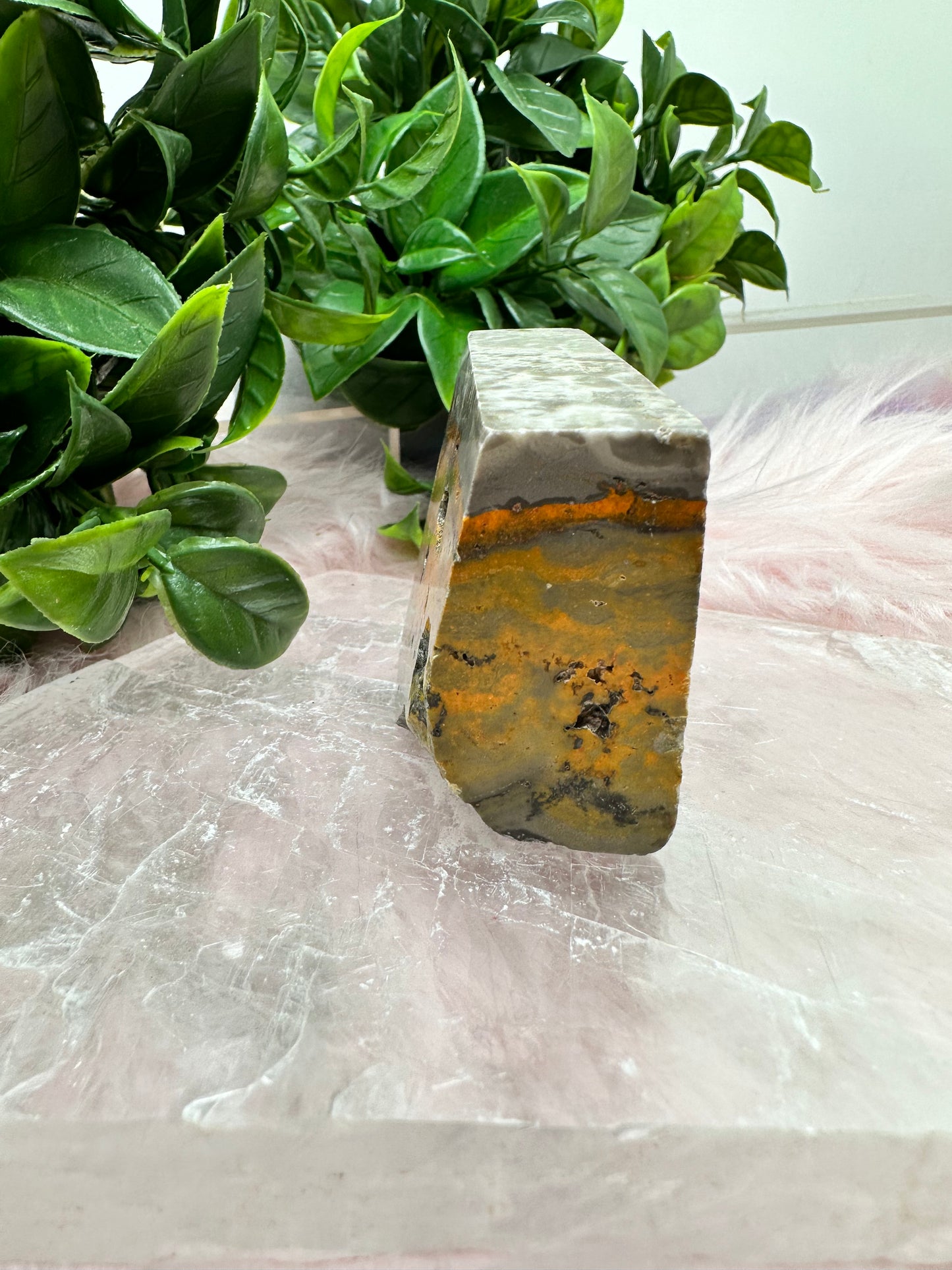 Bumblebee jasper slab