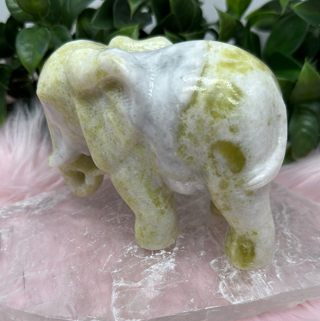 jade elephant