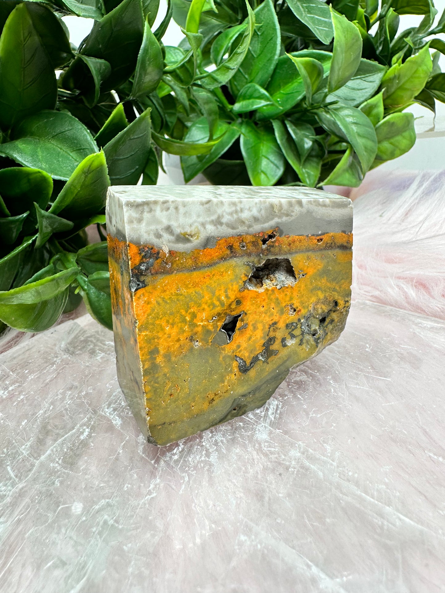 Bumblebee jasper slab