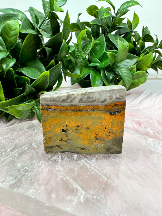 Bumblebee jasper slab