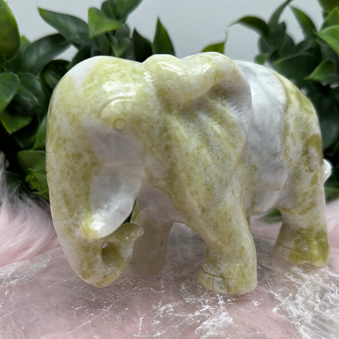 jade elephant