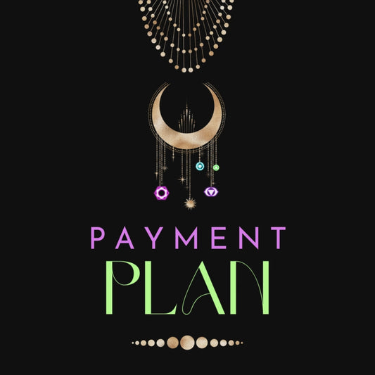 MS.C0FFECAT PAYMENT PLAN TRACKING | PALOMA PAY ONLY DUE 9/23