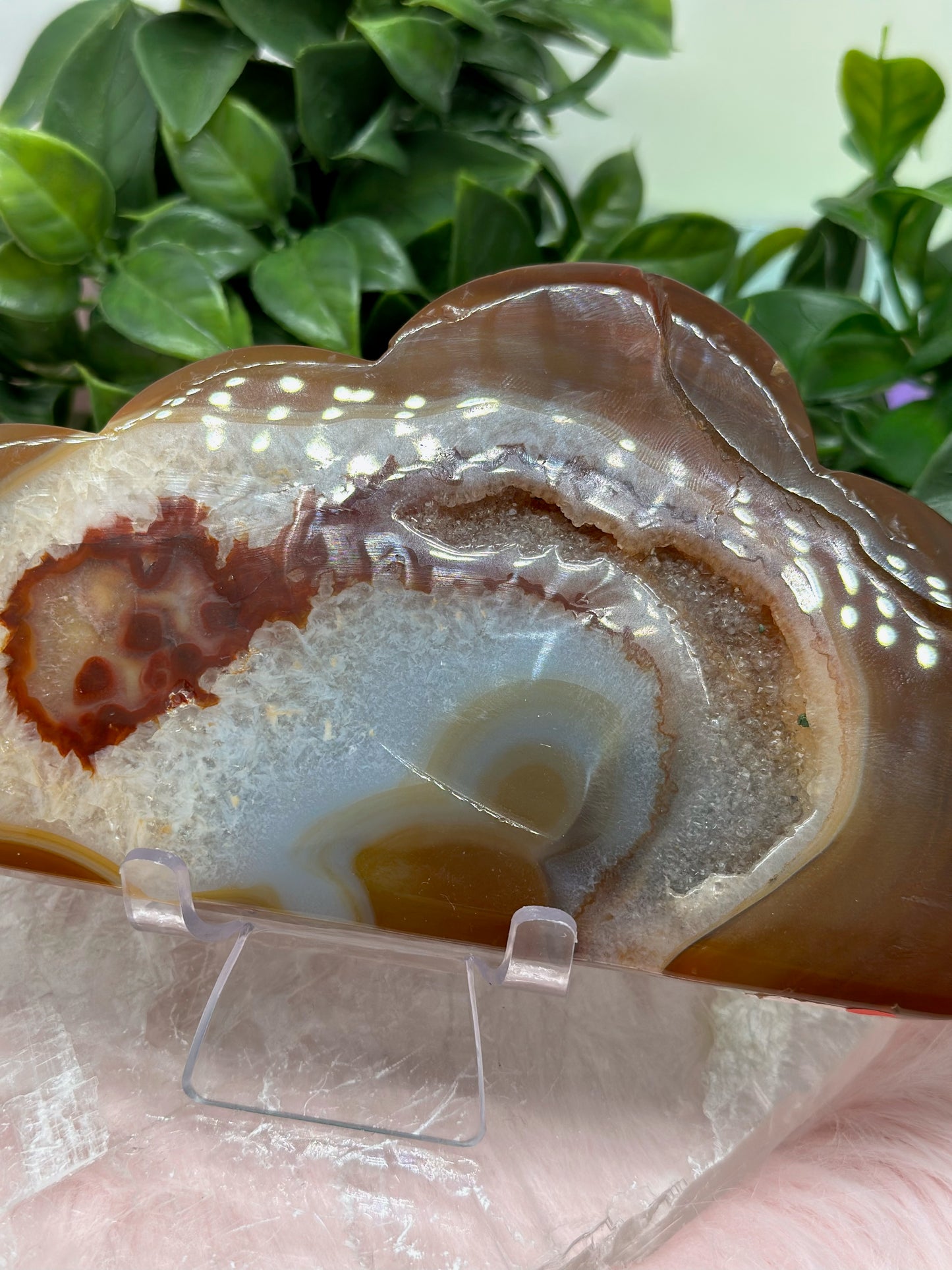 8’’ Carnelian cloud carving