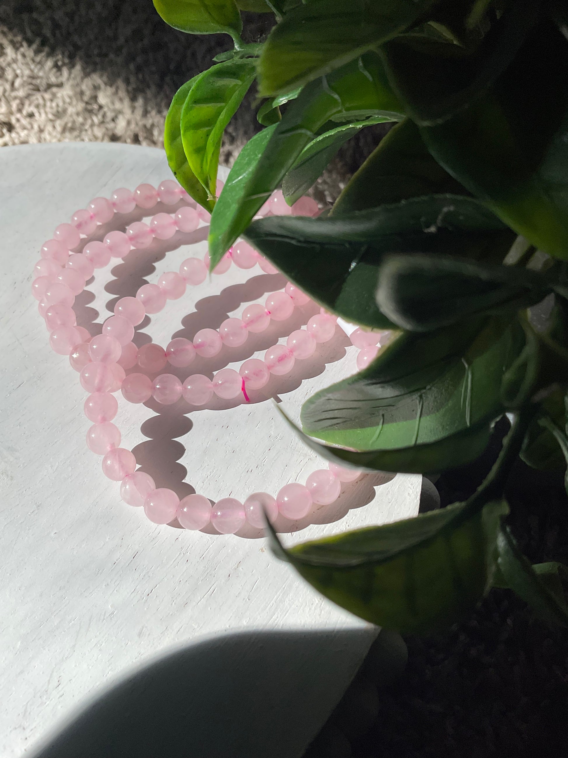 Rose Quartz Bracelet 6mm